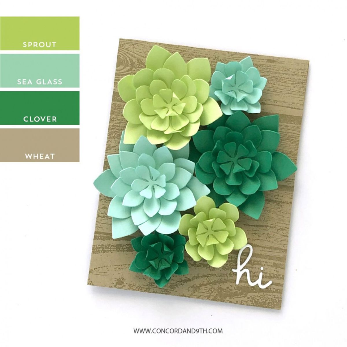 Concord & 9th Fresh Cut Florals Dies Edition 3