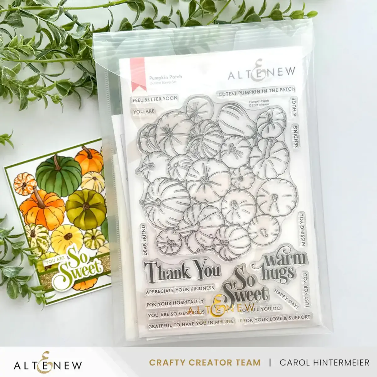 Altenew Storage Pockets