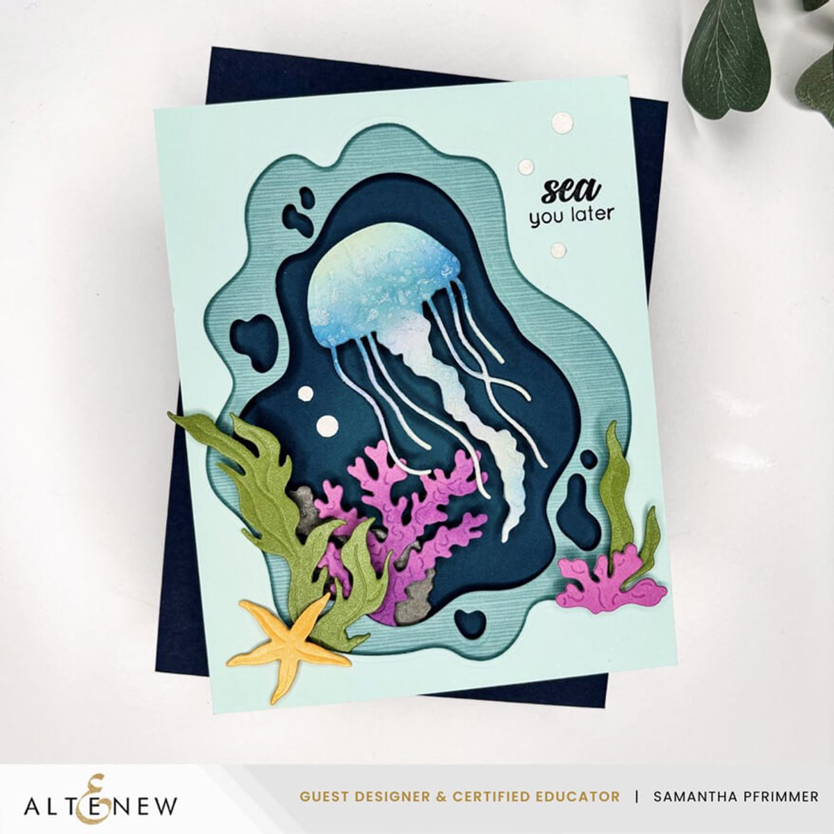 Ocean Window Die Set