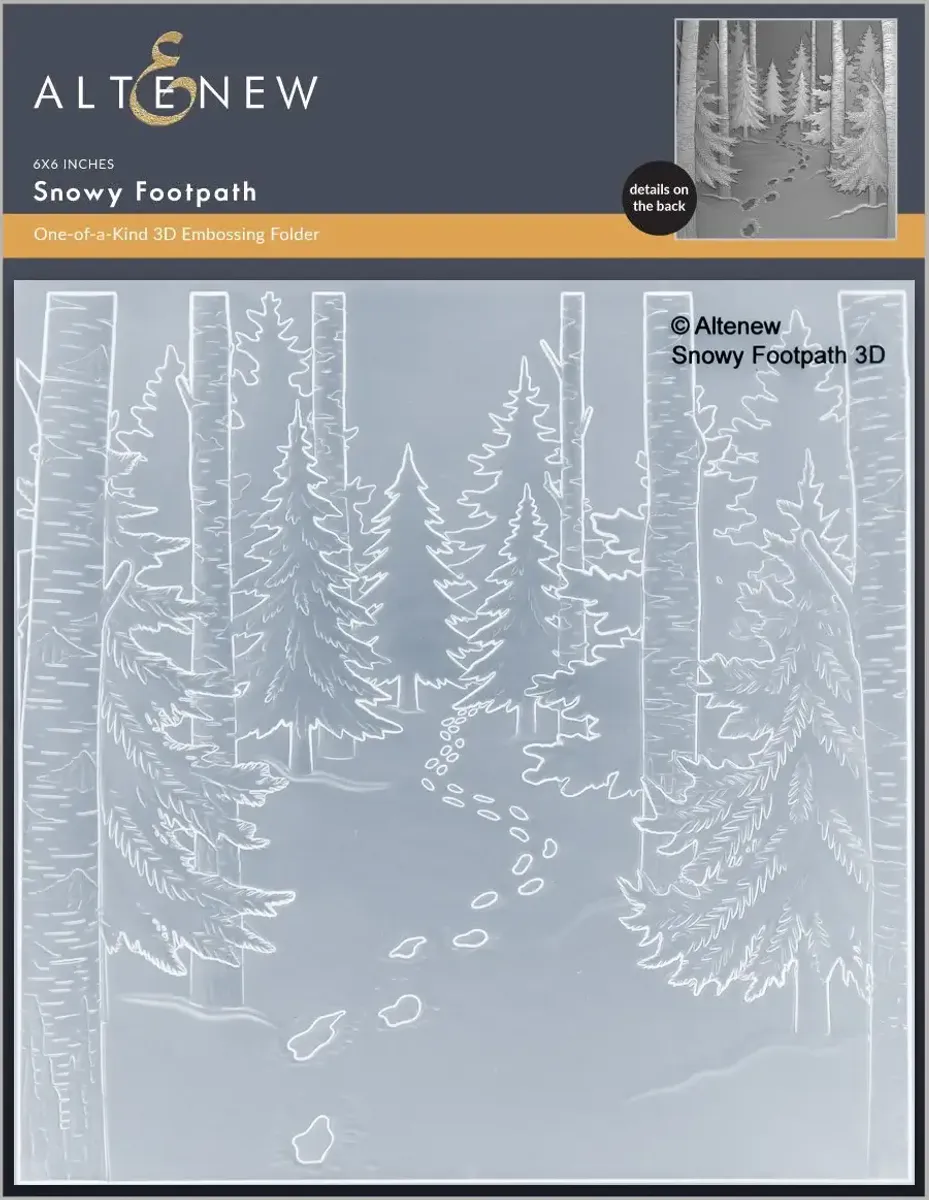 Snowy Footpath 3D Embossing Folder