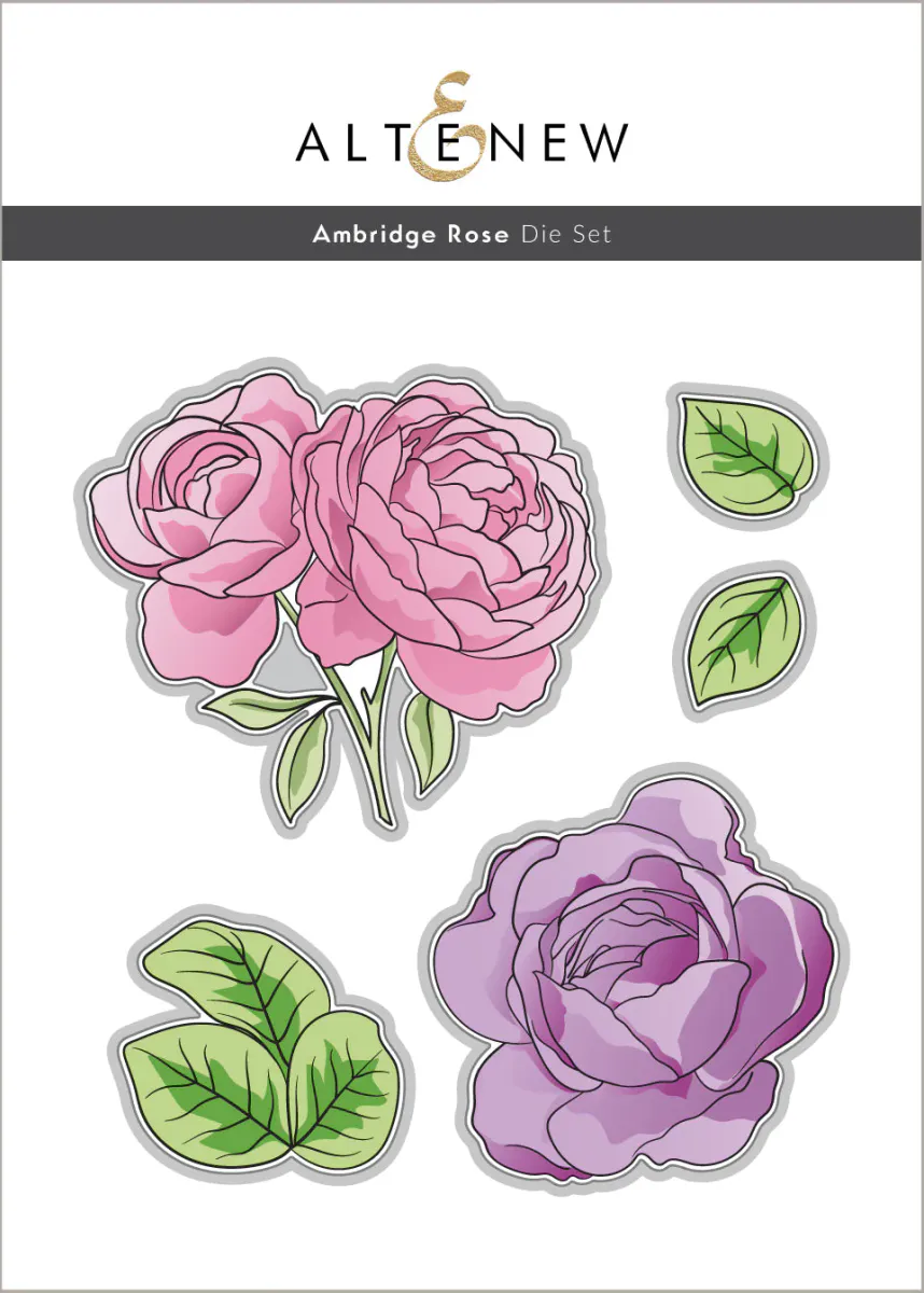 Ambridge Rose Stamp Set