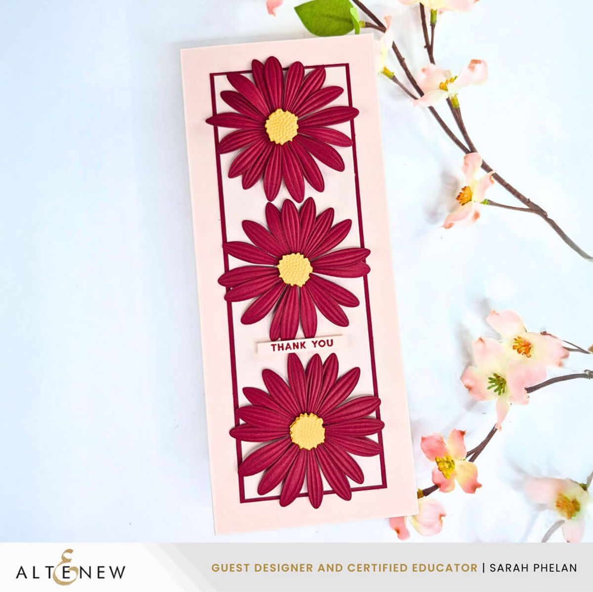 Lush Botanicals: African Daisy 3D Embossing Folder & Die Set