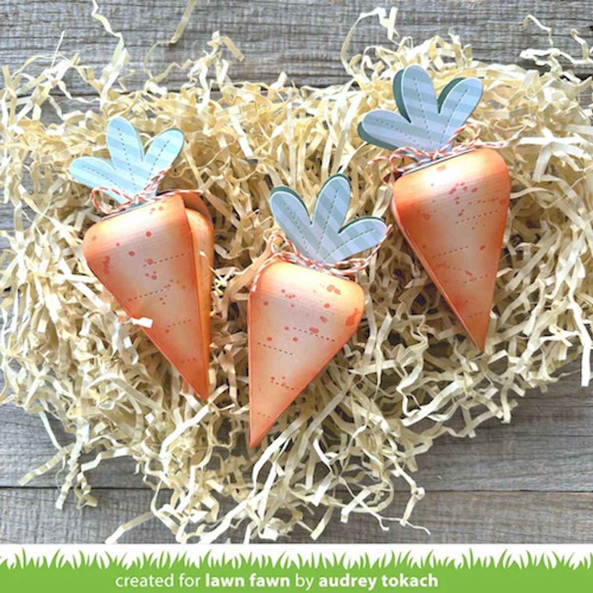 Lawn Fawn Carrot Treat Box Dies