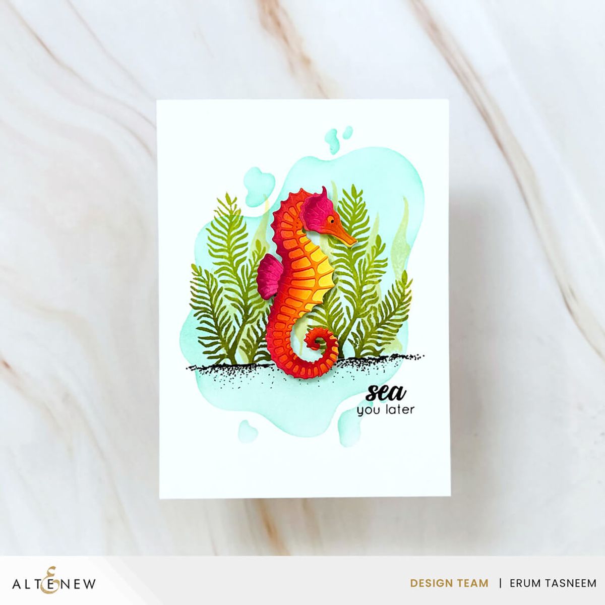 Ocean Window Die Set